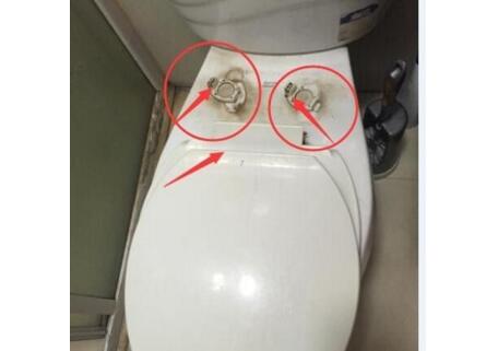 马桶盖怎么拆下来?马桶盖怎么保养?
